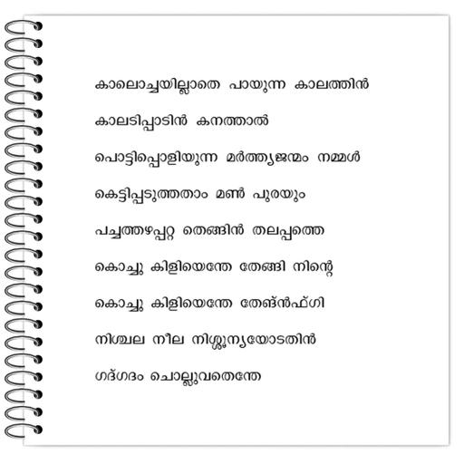 Picture of the product