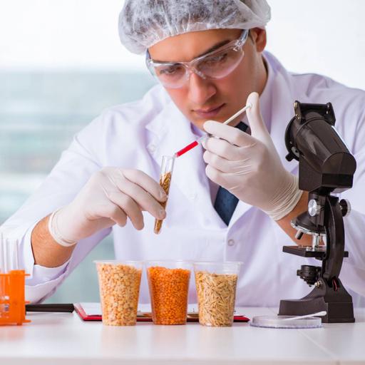 Picture of the product