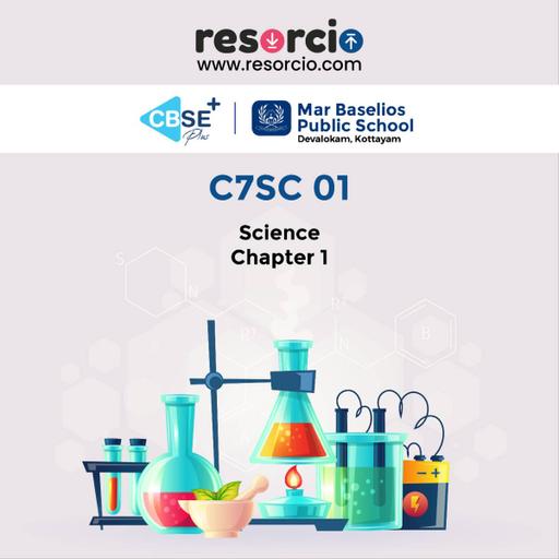 Picture of the product