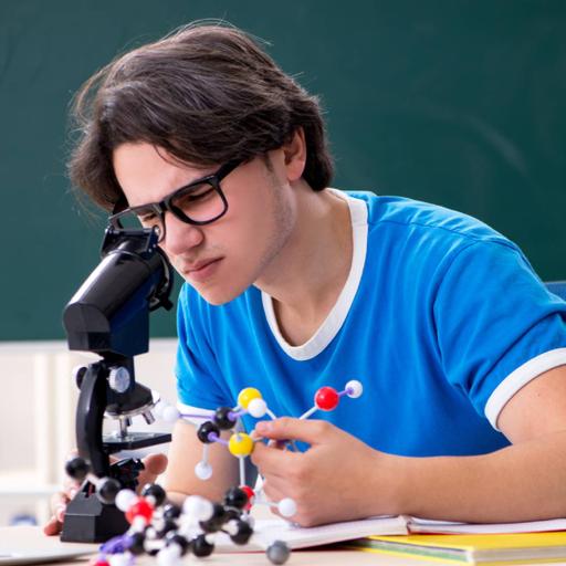 Picture of the product