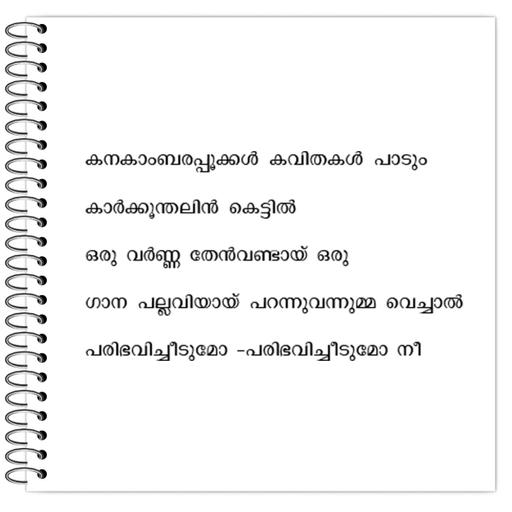 Picture of the product