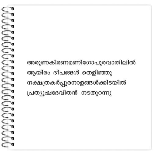 Picture of the product