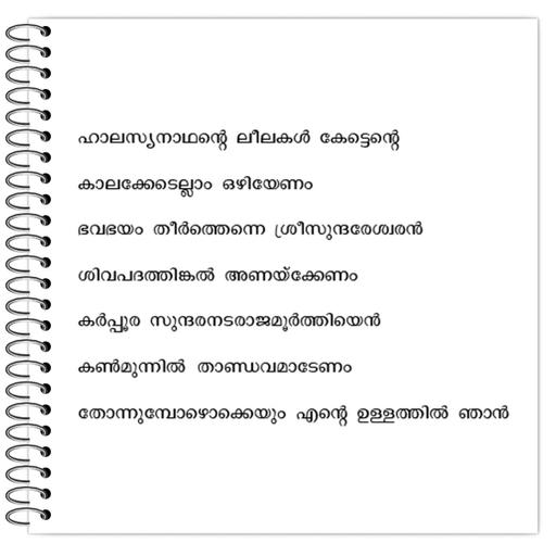 Picture of the product