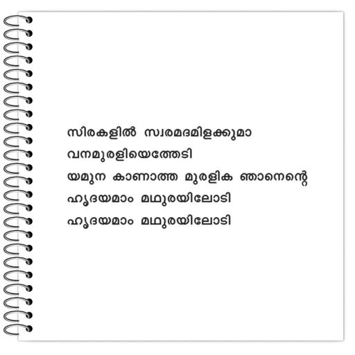 Picture of the product