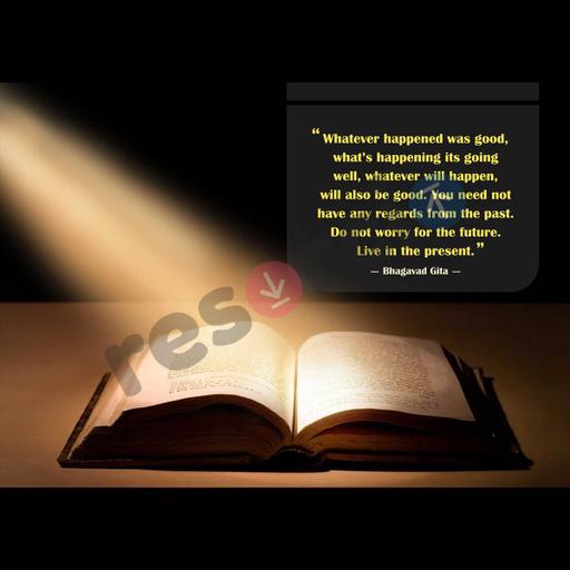 Picture of the product