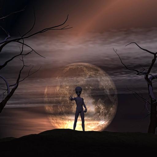 Picture of the product