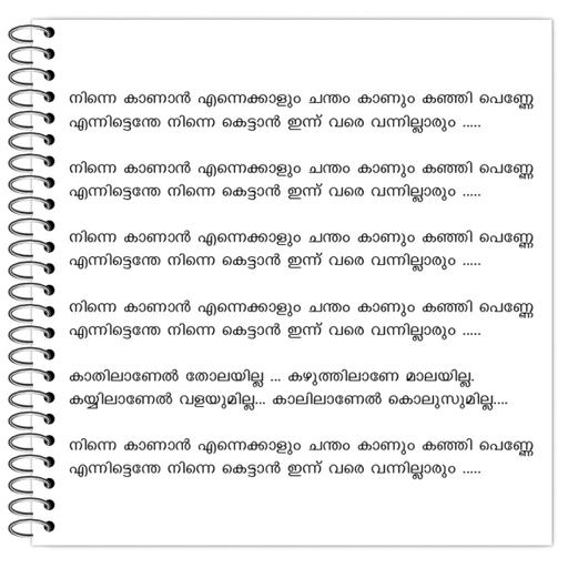 Picture of the product