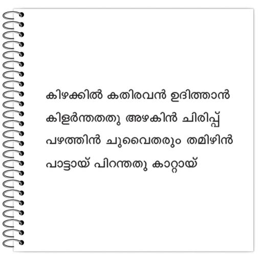 Picture of the product