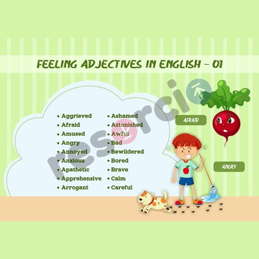 Picture of the product