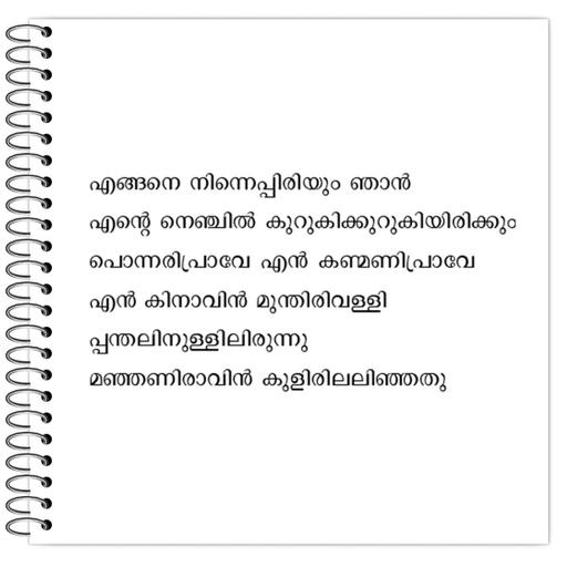 Picture of the product