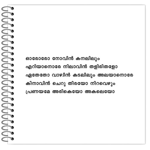 Picture of the product