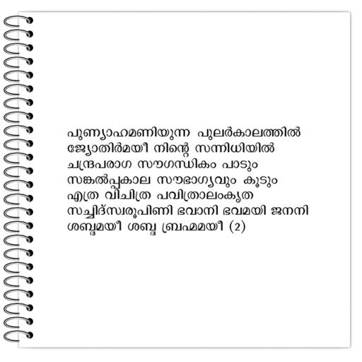 Picture of the product