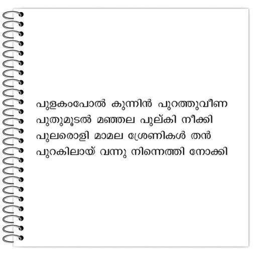 Picture of the product