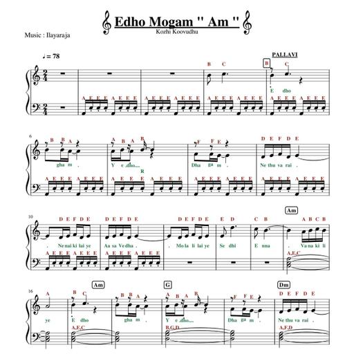 Picture of the product