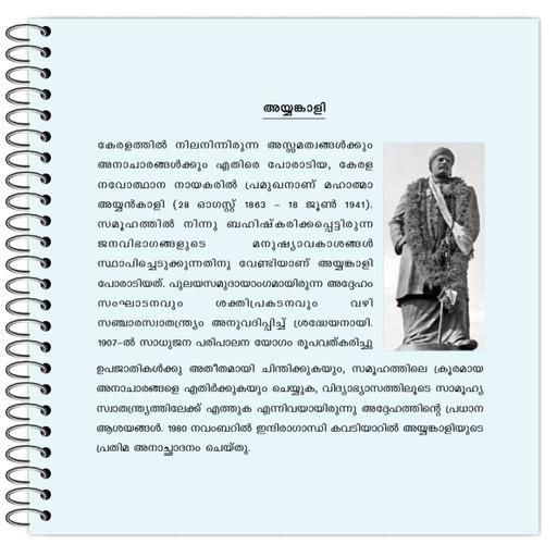 Picture of the product