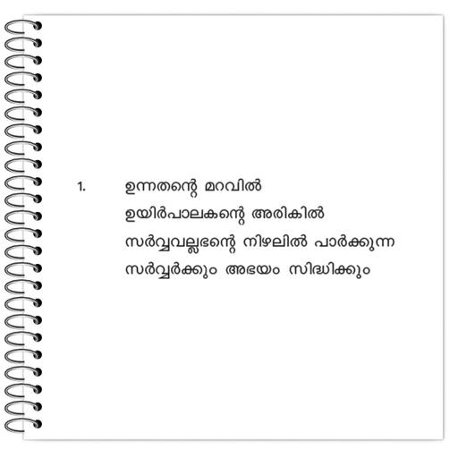 Picture of the product