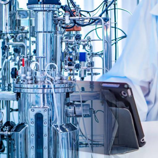 Picture of the product