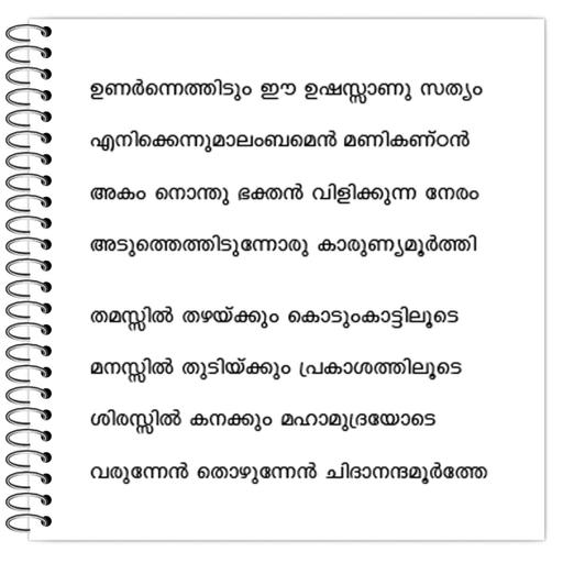 Picture of the product