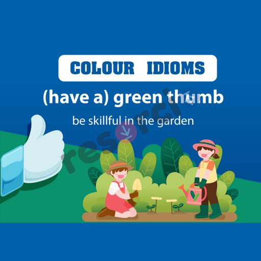 Picture of the product