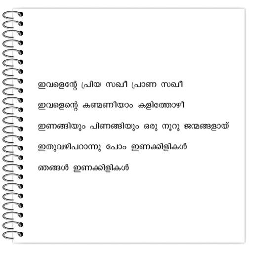 Picture of the product