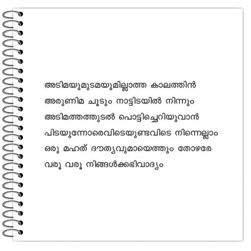 Picture of the product