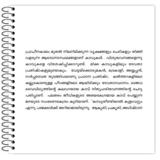 Picture of the product