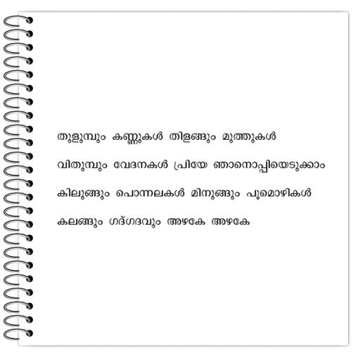 Picture of the product