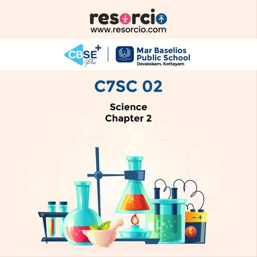 Picture of the product