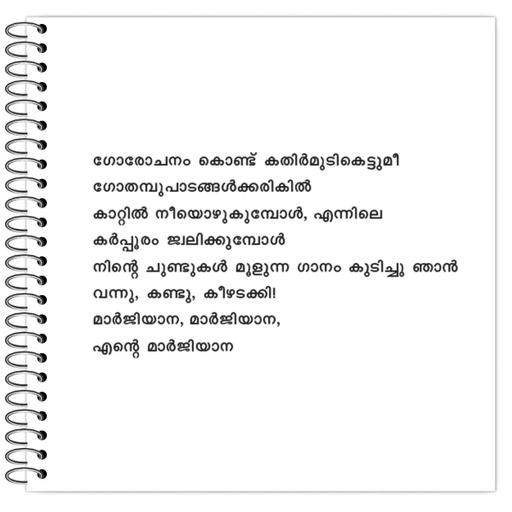 Picture of the product