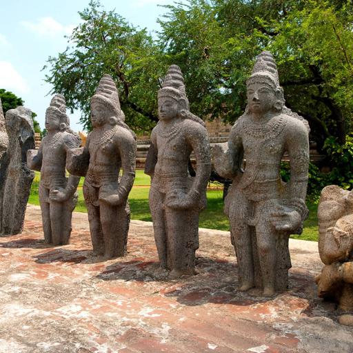 Picture of the product