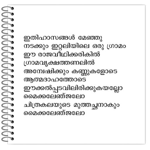 Picture of the product