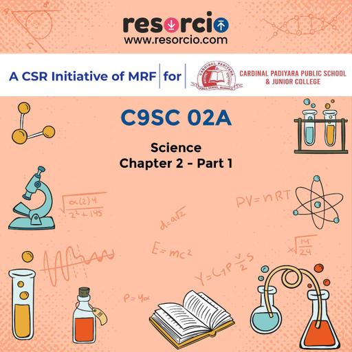 Picture of the product