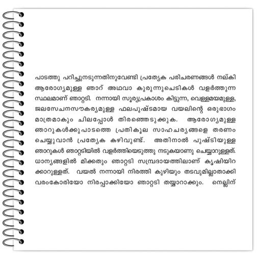 Picture of the product