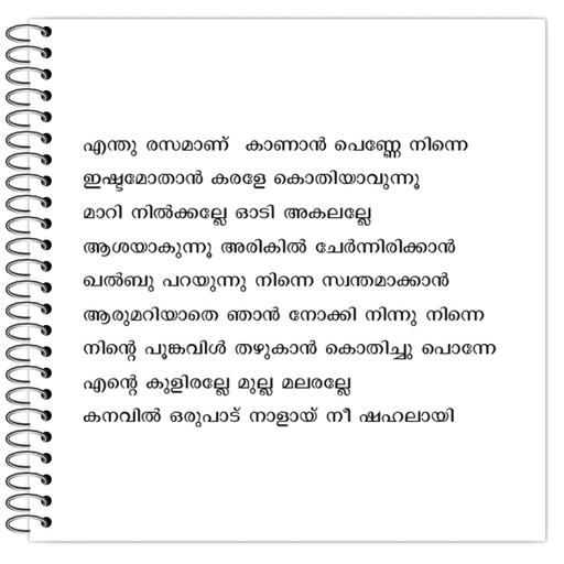 Picture of the product