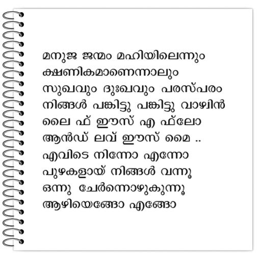 Picture of the product