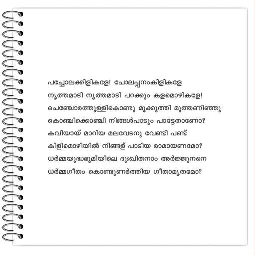 Picture of the product