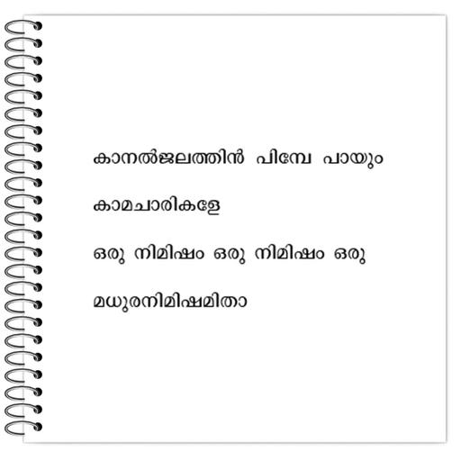 Picture of the product