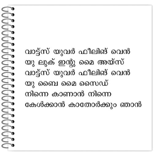 Picture of the product