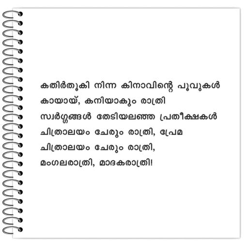 Picture of the product