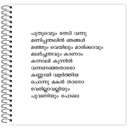 Picture of the product