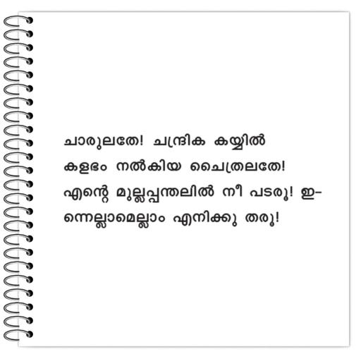 Picture of the product