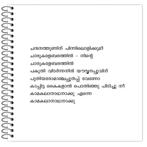 Picture of the product