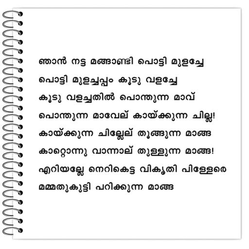 Picture of the product