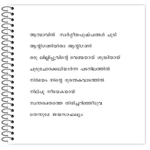 Picture of the product