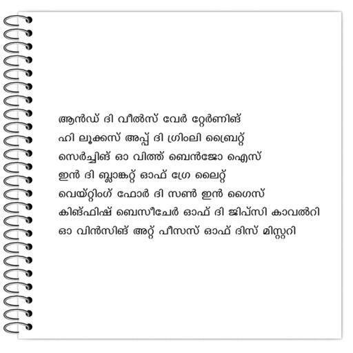 Picture of the product