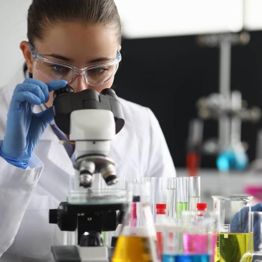 Picture of the product