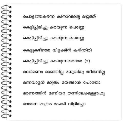 Picture of the product