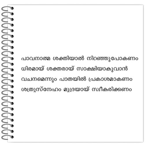 Picture of the product