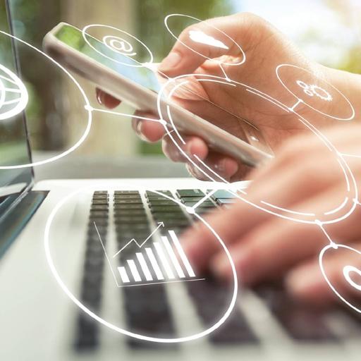 Picture of the product