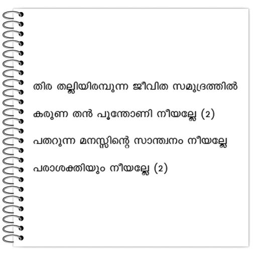 Picture of the product